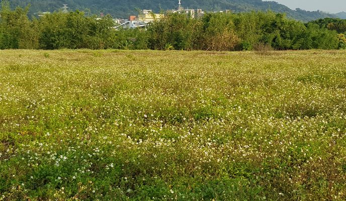 Photo 1 of the Bikemap route "旱溪自行車道全線"