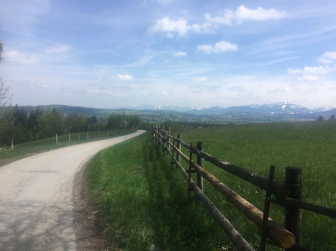 Taubenberg