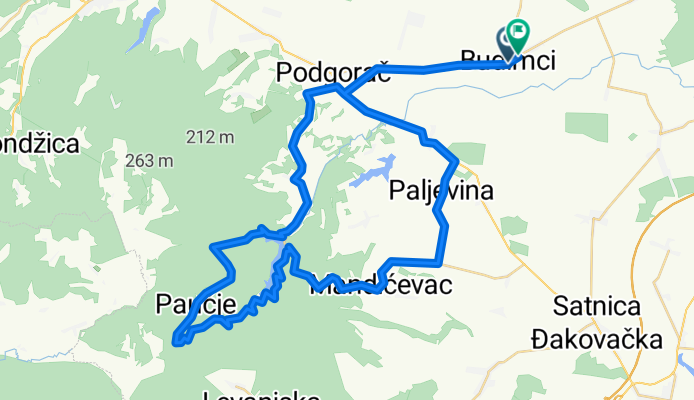 borovik