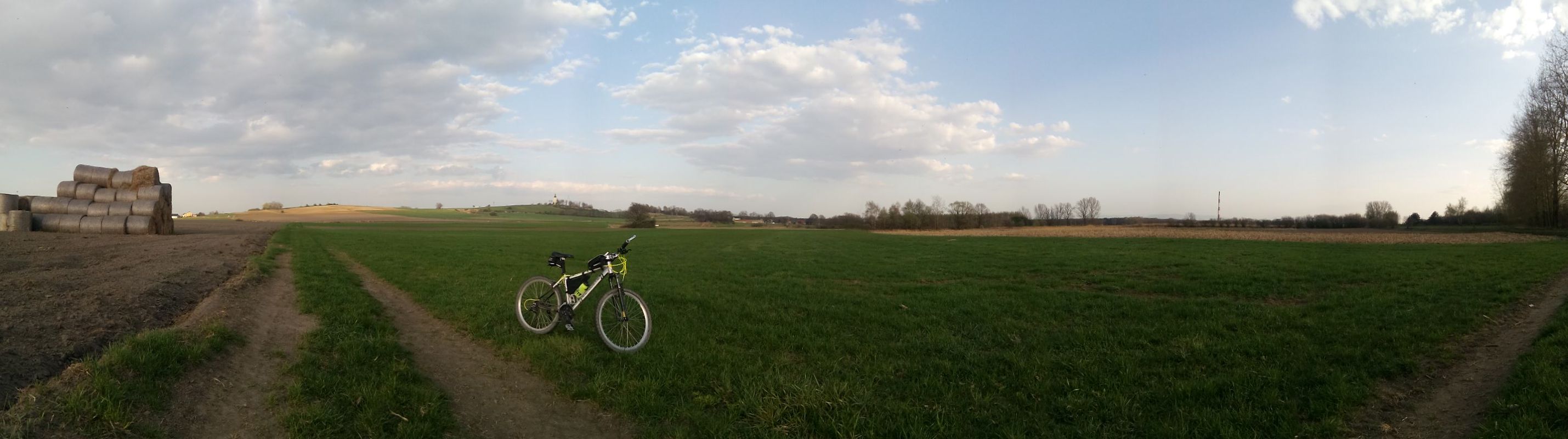 2018/04 Lędziny lasy