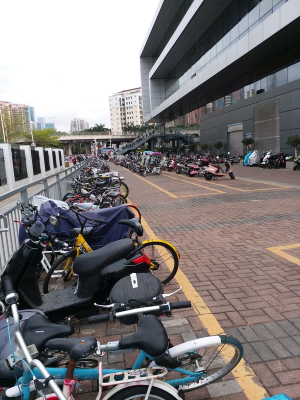 水圍到福田口岸