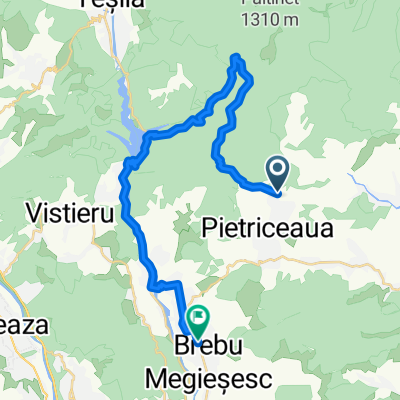 Pietriceaua, Paltinu, Lunca Mare, Brebu