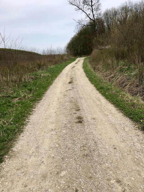 Első rendes