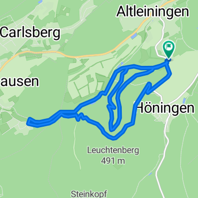Waldlehrpfad   Mühlenweg Altleiningen bis Carlsberg
