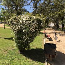 Foto 7 de la ruta de Bikemap "Lisboa - São Domingos de Benfica"