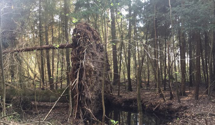 Foto 1 der Bikemap-Route "17.04. 2018"