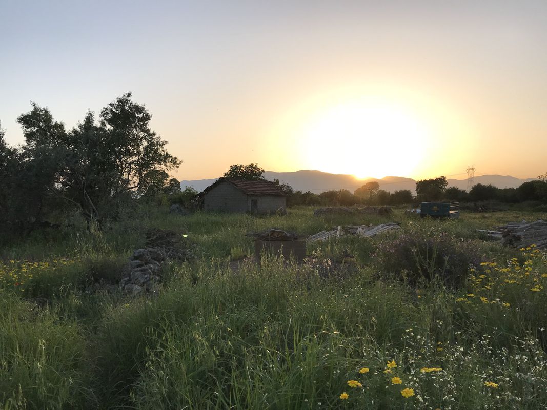 KIZILLI