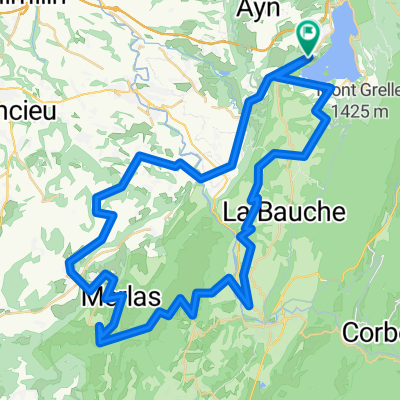 Plantes du lac avril 2018