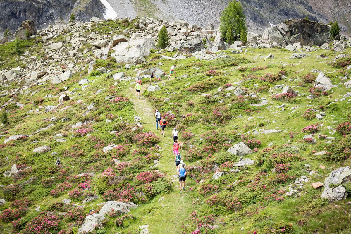 Skyrace Alta Valtellina