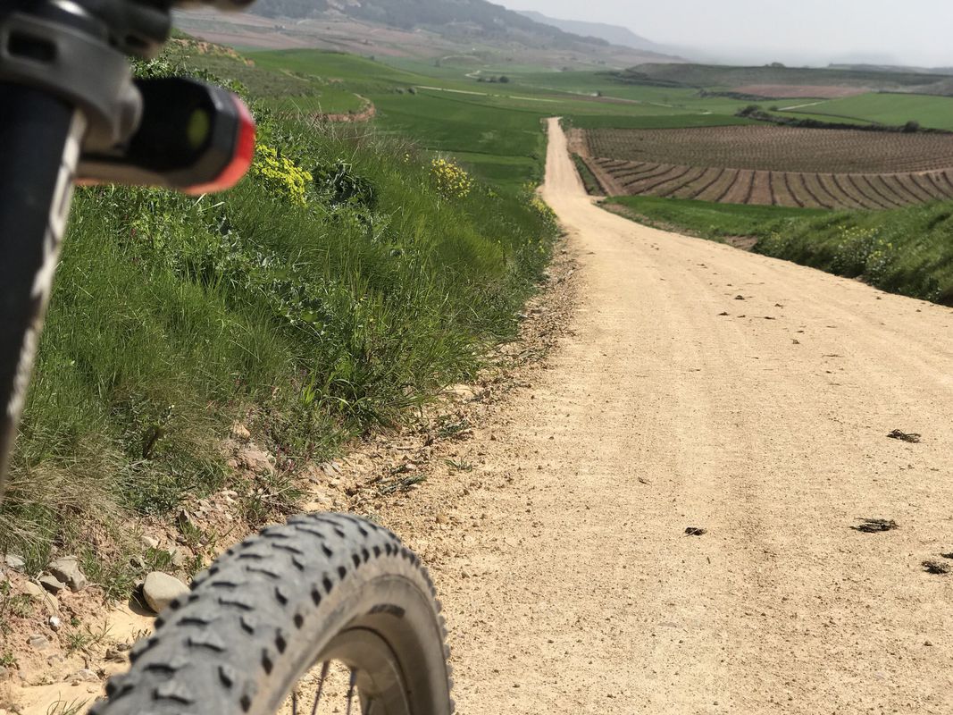 Camino De Santiago