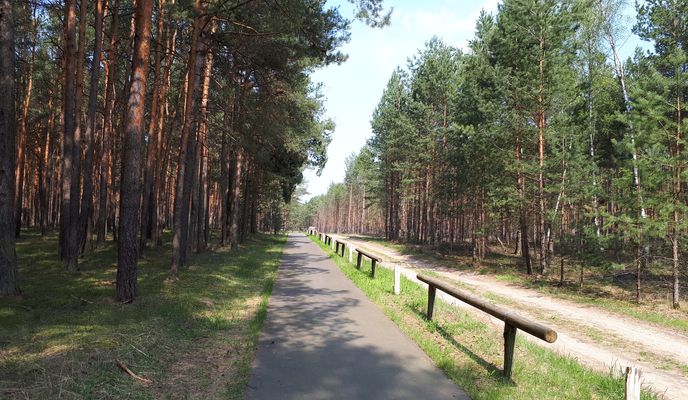 Foto 1 der Bikemap-Route "Spreewaldmarathon"