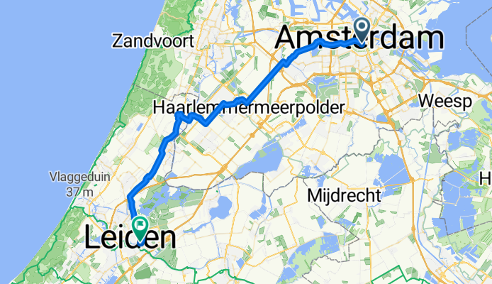 Ams to Leiden w/flowers