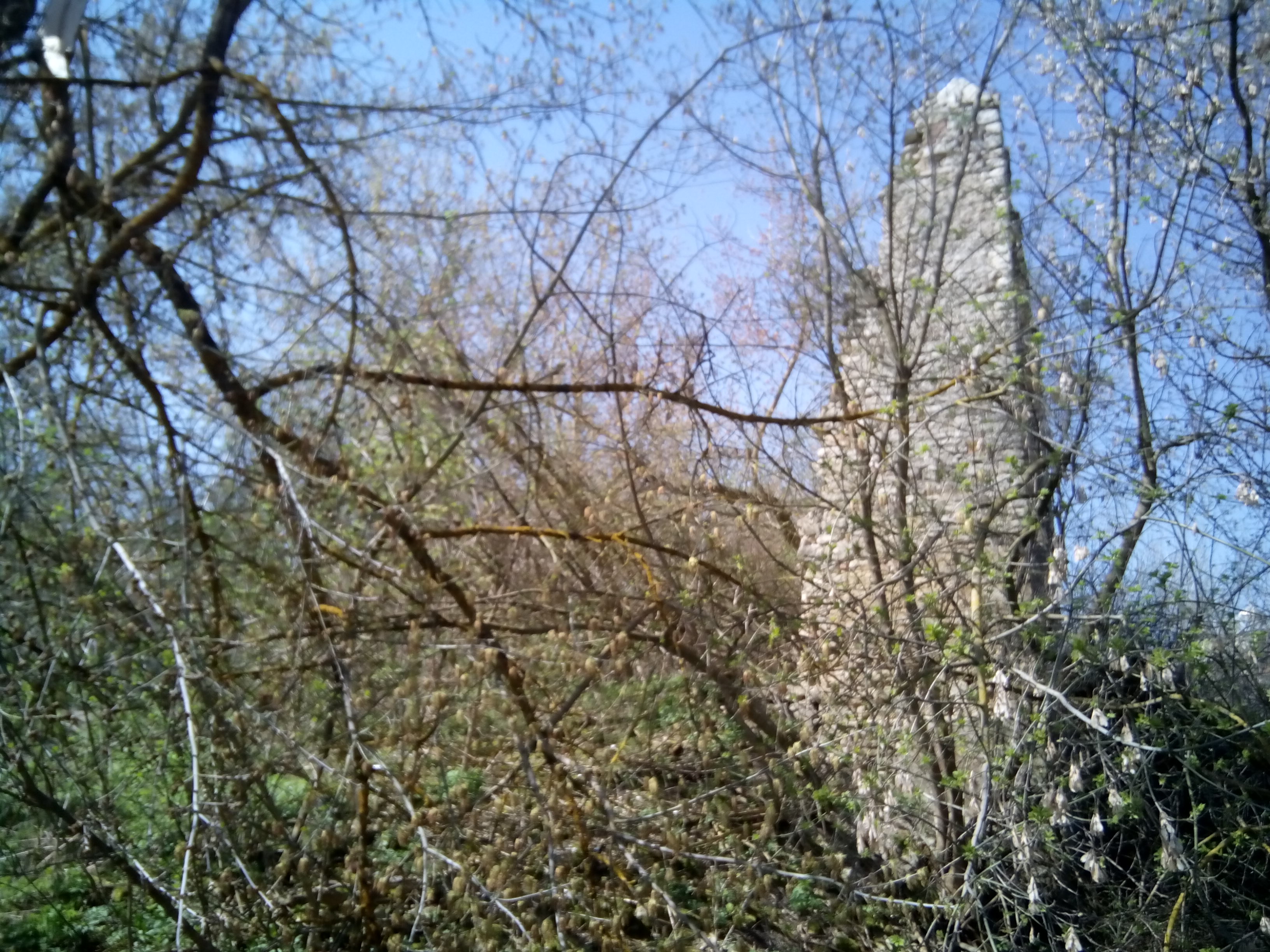 Highlight 1 along the Bikemap route "Levyt`s Trail"