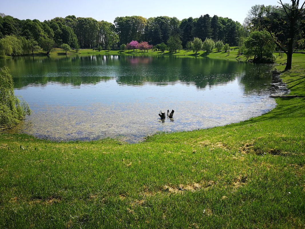 SEGRATE MARTESANA MUZZA