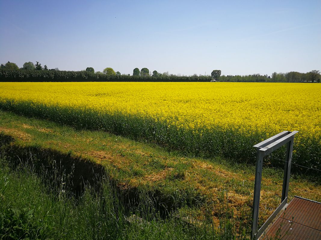 SEGRATE MARTESANA MUZZA