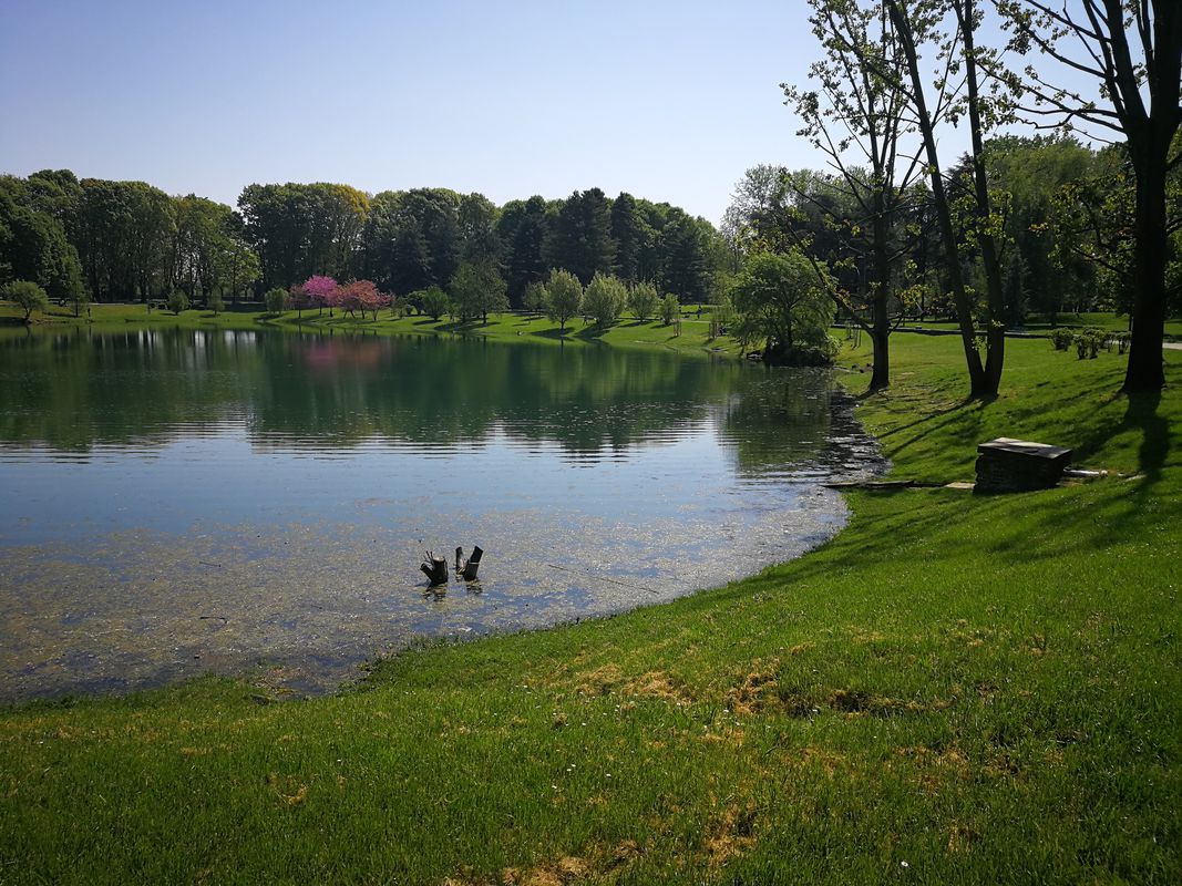 SEGRATE MARTESANA MUZZA