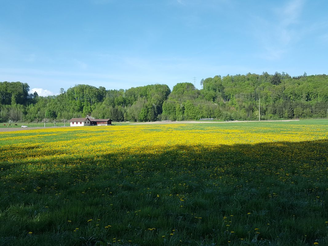 Rundfahrt Burgdorf-Kirchberg