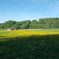 Rundfahrt Burgdorf-Kirchberg
