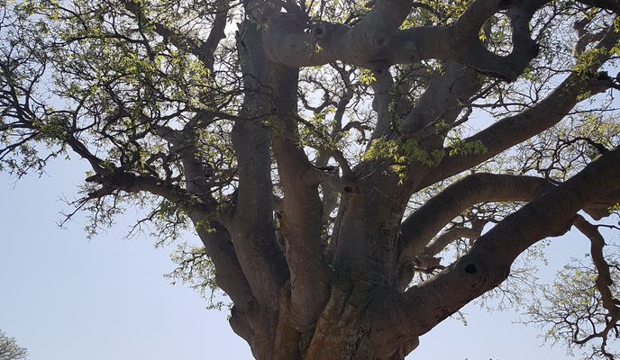 Photo 1 of the Bikemap route "Baška - Šilo" Photo 1 of the Bikemap route "Baška - Šilo"