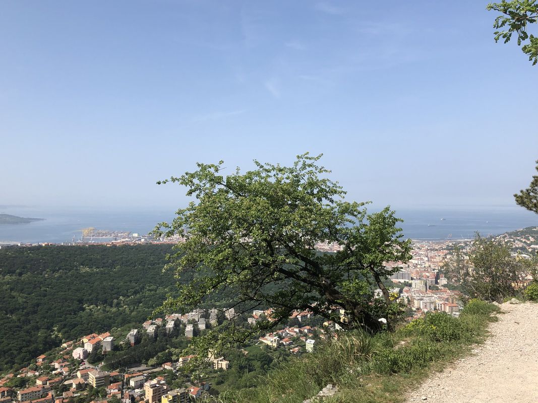 Basovizza Monte Grisa