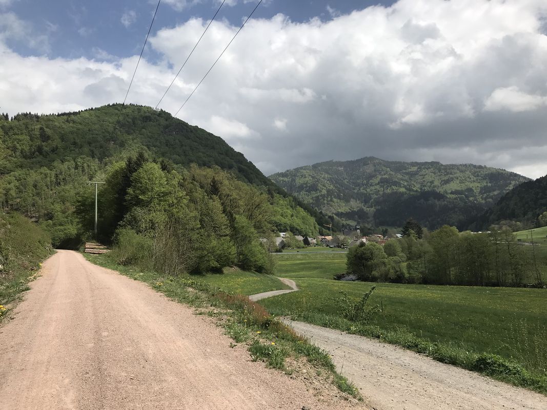 hin fahre nach todtnau zurück