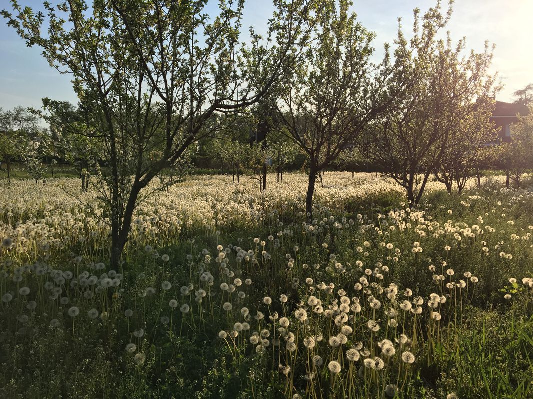 primo giorno 26 maggio 2018