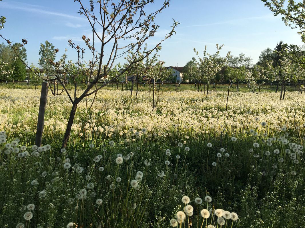 primo giorno 26 maggio 2018