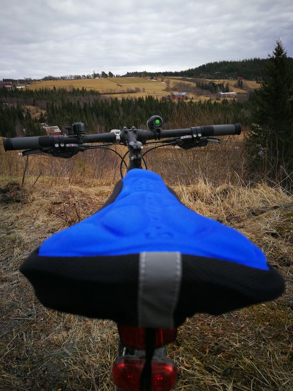 Hølondaruta nord-vest.