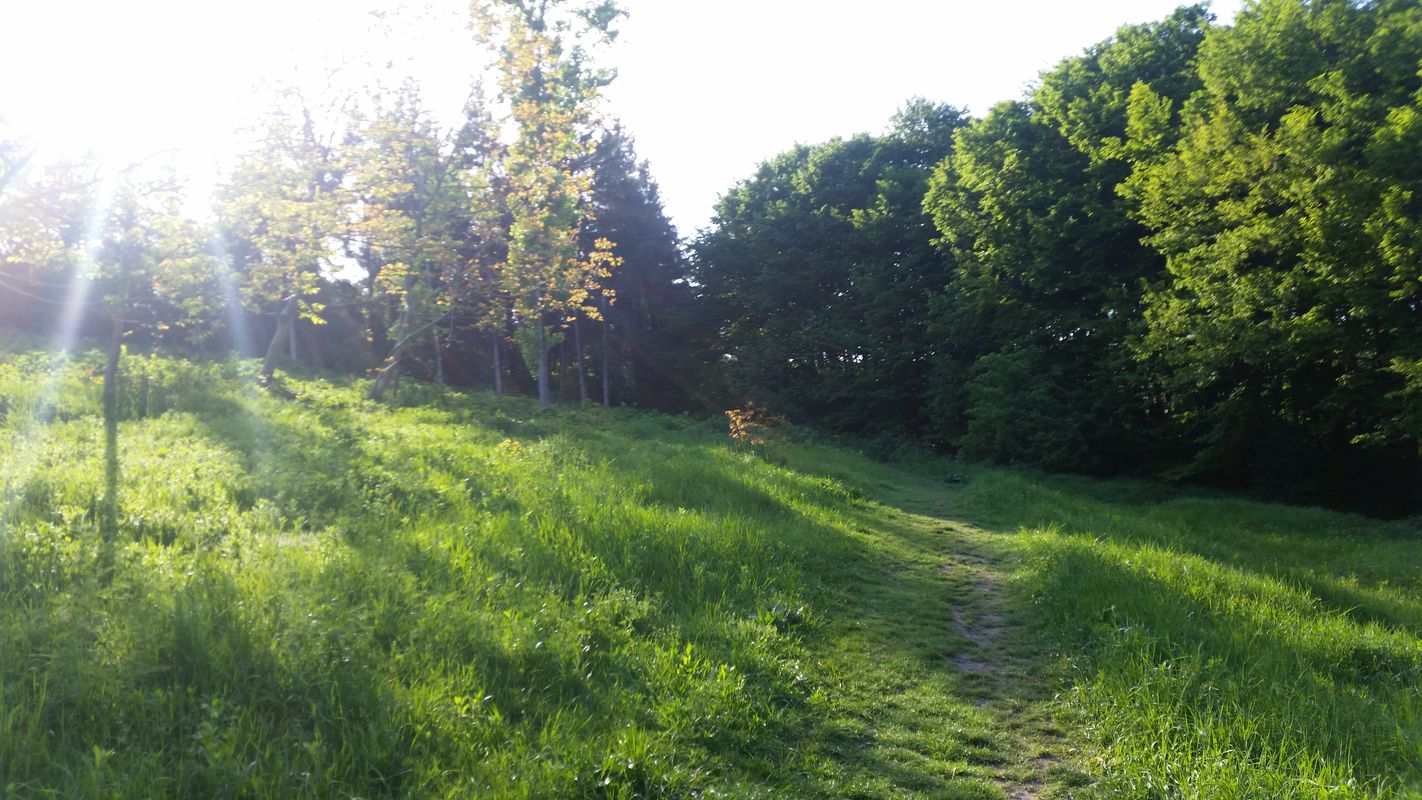 gradina botanica -lac
