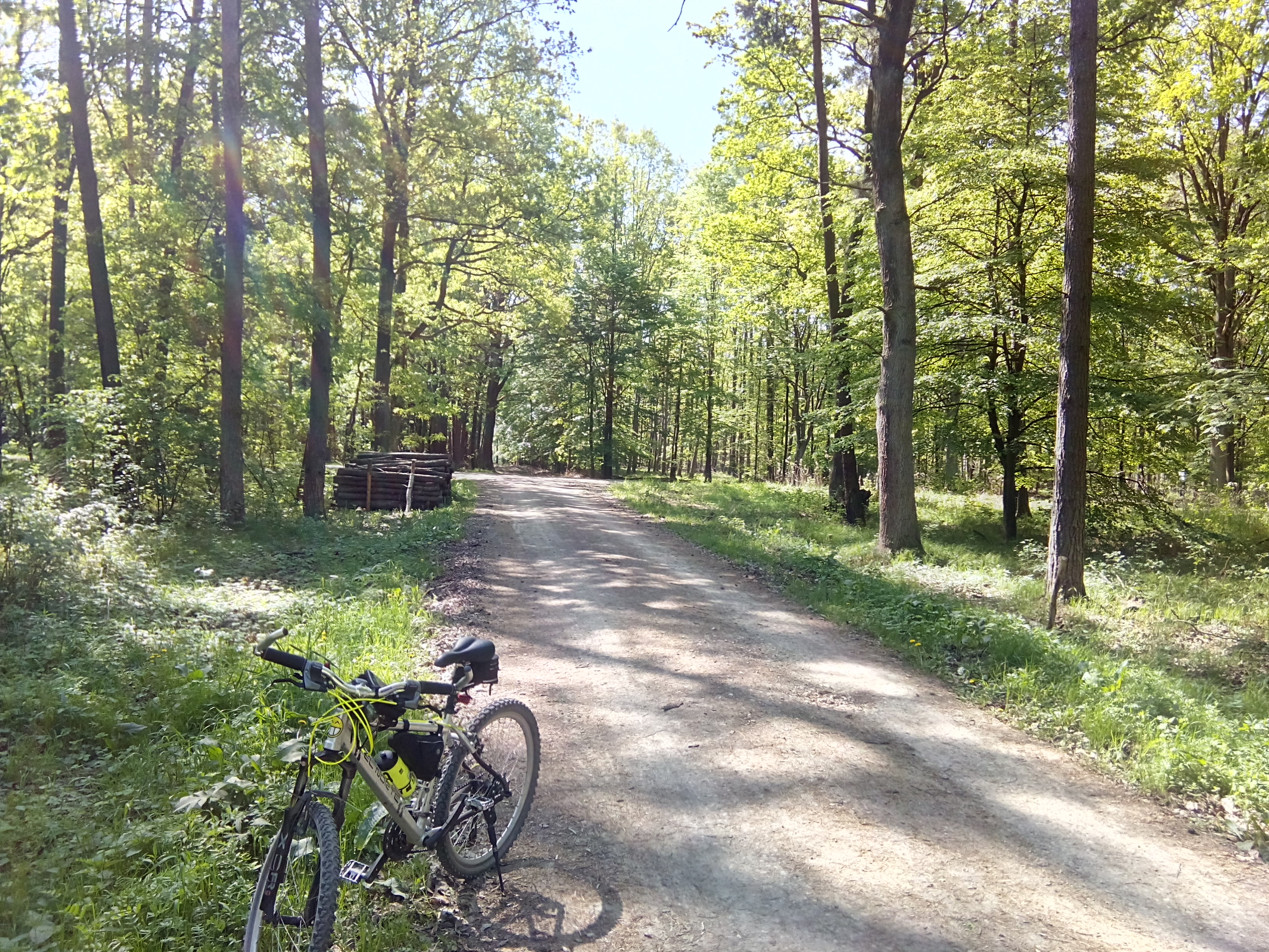 Atrakcja 3 na trasie Bikemap „2018/08 Tychy pętla” Atrakcja 3 na trasie Bikemap „2018/08 Tychy pętla”