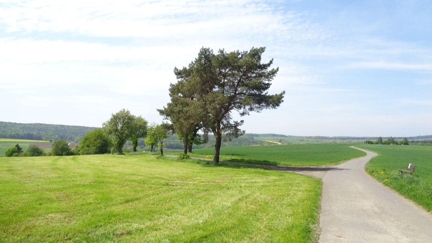 Vielbrunn - Windlücke - Rimhorn - Höchst - Bad König - Momart - Kimbach 