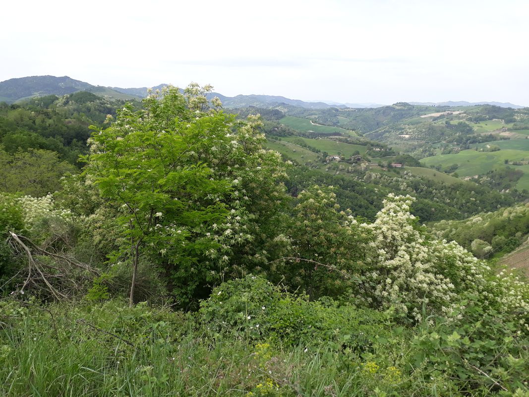 predappio-baccanello-monte colombo-s.marina-s.savino