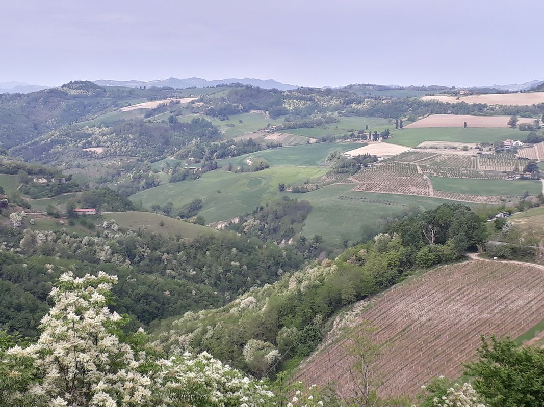 predappio-baccanello-monte colombo-s.marina-s.savino
