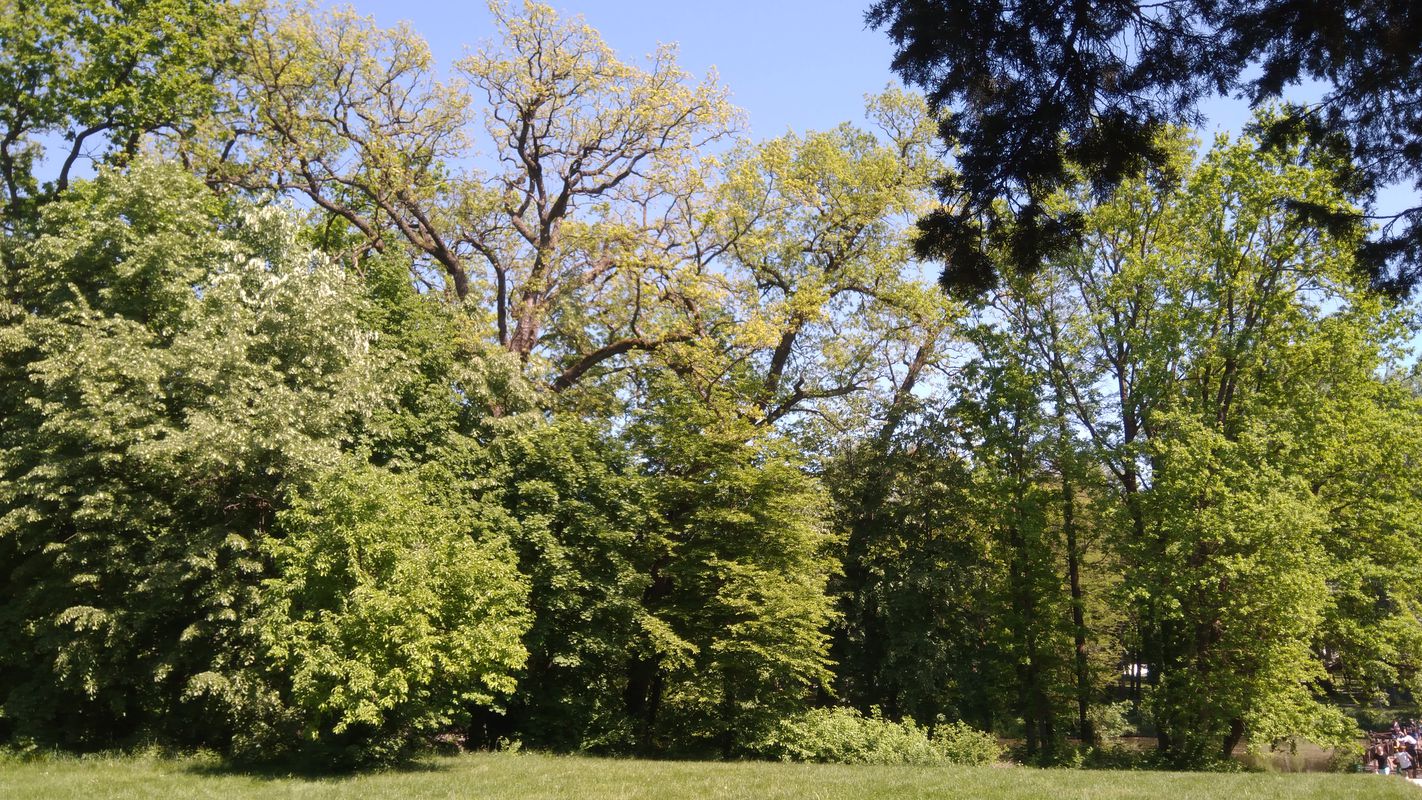 Domeniul Știrbey