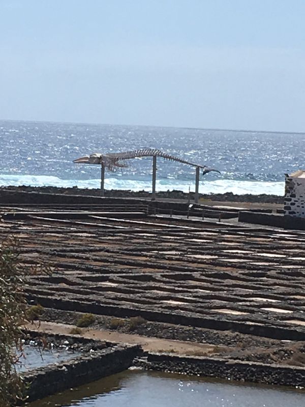 caleta