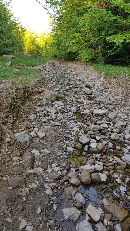 Desești - Breb - Creasta Cocosului