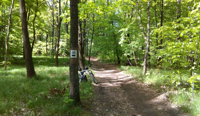 Foto 2 der Bikemap-Route "2018/07 3 Stawy" Foto 2 der Bikemap-Route "2018/07 3 Stawy"