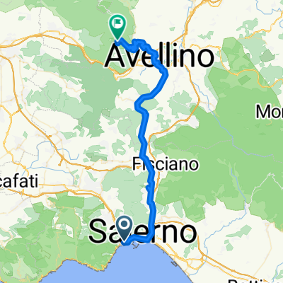 salerno11