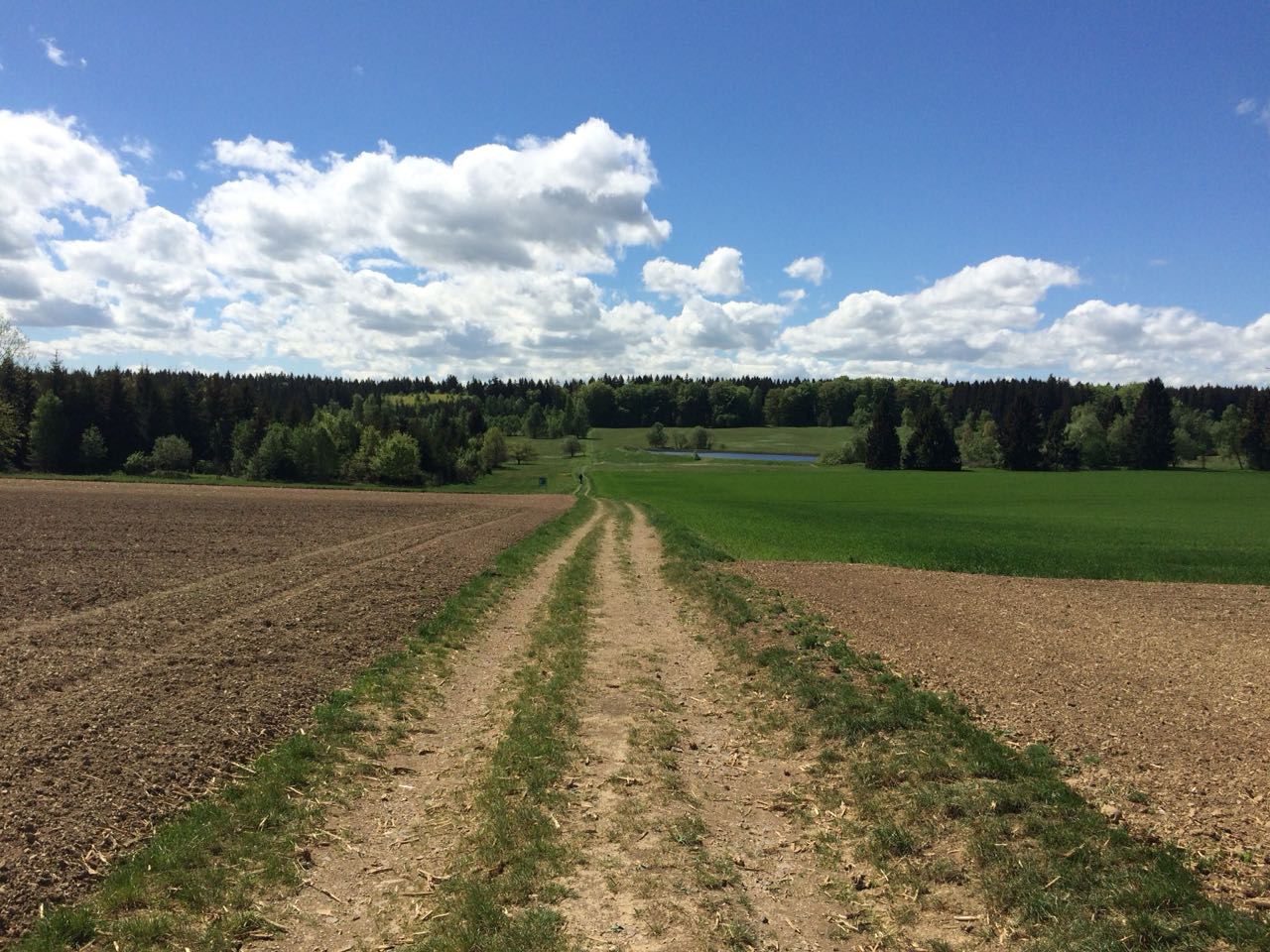 Trainingstour für den Donauradweg nach Wien 2019