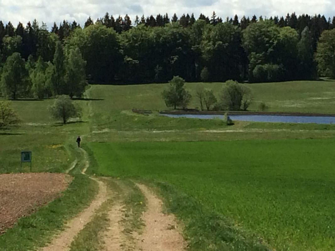 Trainingstour für den Donauradweg nach Wien 2019