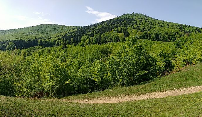 Photo 2 of the Bikemap route "Cut- Schit Bahrin-Batca Doamnei"