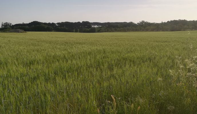 Photo 1 of the Bikemap route "Masseria lagarello"