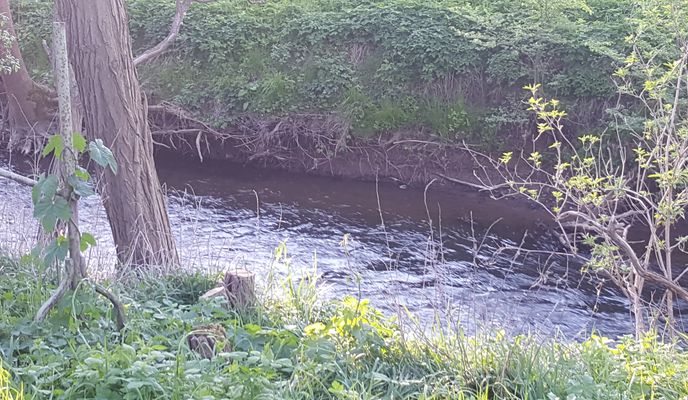 Foto 1 der Bikemap-Route "1.er Mai Fahrt klein aber fein Touristisch super gelegen" Foto 1 der Bikemap-Route "1.er Mai Fahrt klein aber fein Touristisch super gelegen"