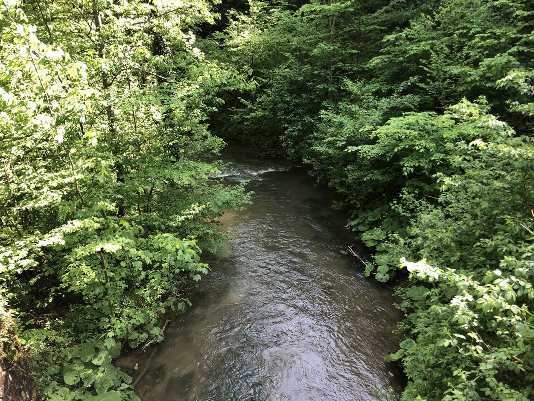 „über‘s Wasser“ nach Puchberg (Cyclocross)