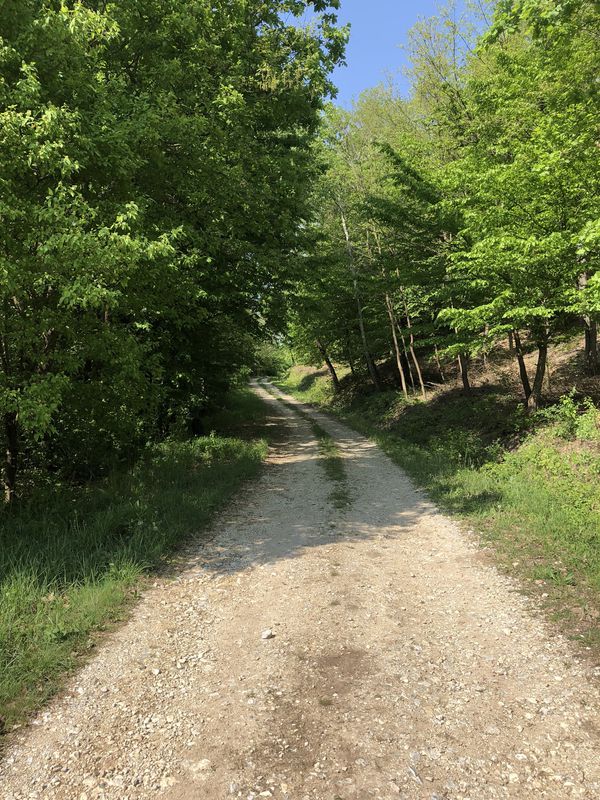 Futócipő hiányában, futás helyett némi lábkarbantartás. 🚵🏼‍♂️