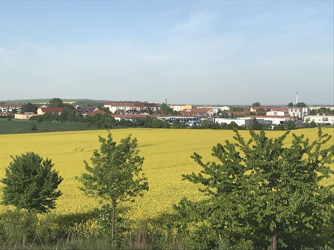 Rundstrecke um Oschatz/Striesa/Fliegerhorst/Veniseuxer Str./Oschatz