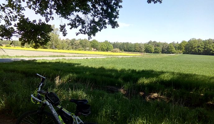 Foto 2 der Bikemap-Route "2018/10 Palast und Schlosspark in Pless Ducal Palace in Pszczyna" Foto 2 der Bikemap-Route "2018/10 Palast und Schlosspark in Pless Ducal Palace in Pszczyna"