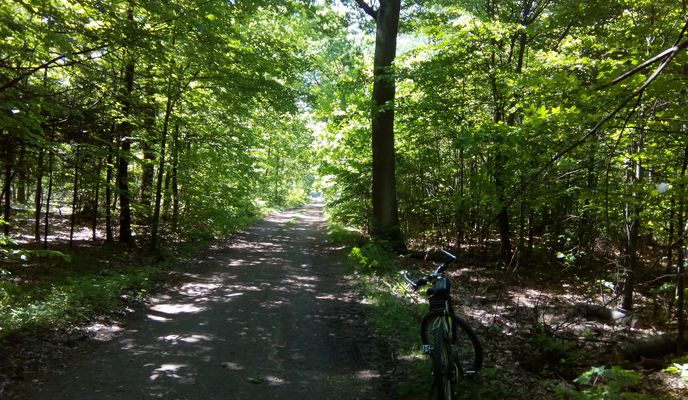 Foto 1 der Bikemap-Route "2018/10 Palast und Schlosspark in Pless Ducal Palace in Pszczyna" Foto 1 der Bikemap-Route "2018/10 Palast und Schlosspark in Pless Ducal Palace in Pszczyna"