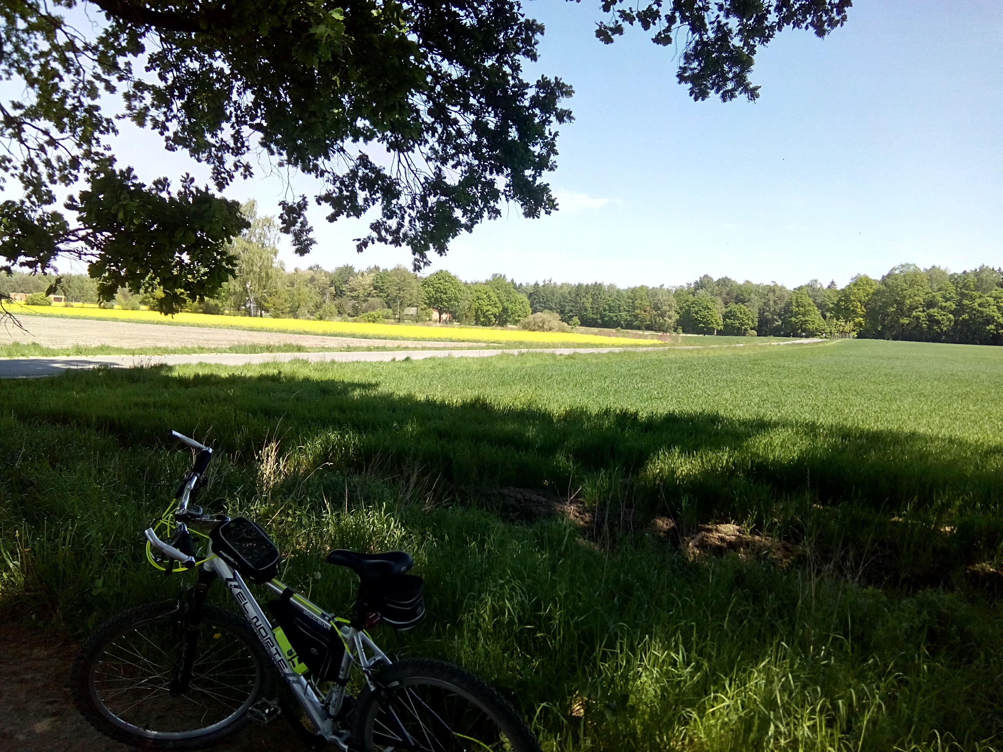 Hebe Bild 2 entlang der Bikemap-Route "2018/10 Palast und Schlosspark in Pless Ducal Palace in Pszczyna" hervor Hebe Bild 2 entlang der Bikemap-Route "2018/10 Palast und Schlosspark in Pless Ducal Palace in Pszczyna" hervor