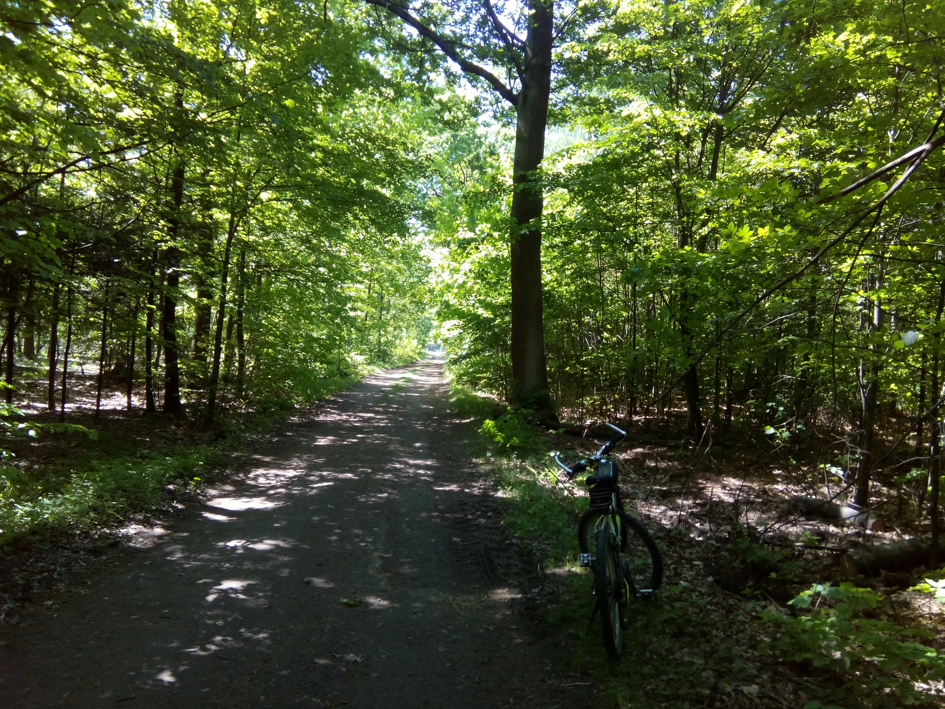 Hebe Bild 1 entlang der Bikemap-Route "2018/10 Palast und Schlosspark in Pless Ducal Palace in Pszczyna" hervor Hebe Bild 1 entlang der Bikemap-Route "2018/10 Palast und Schlosspark in Pless Ducal Palace in Pszczyna" hervor